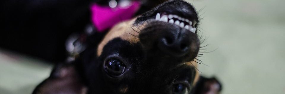 alejacharry23's profile banner image