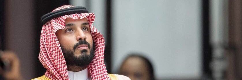 فاضل بن ثروي banner