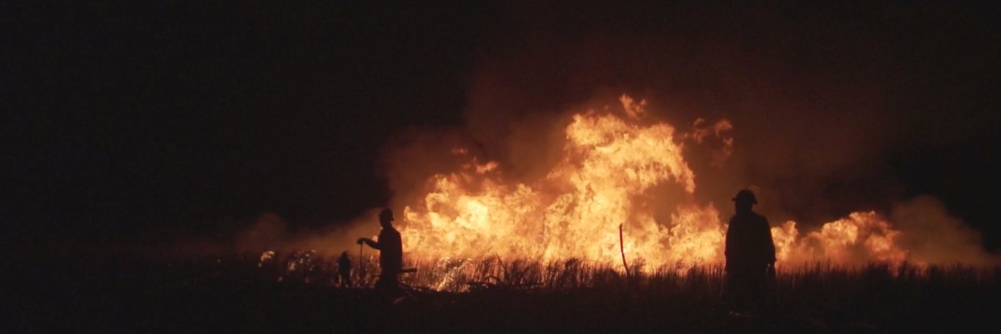 Taratoa Stappard banner