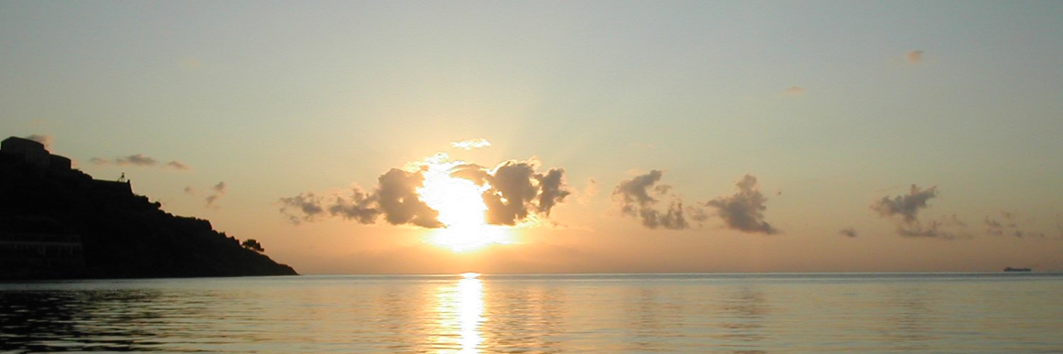 Paola Sbriccoli banner