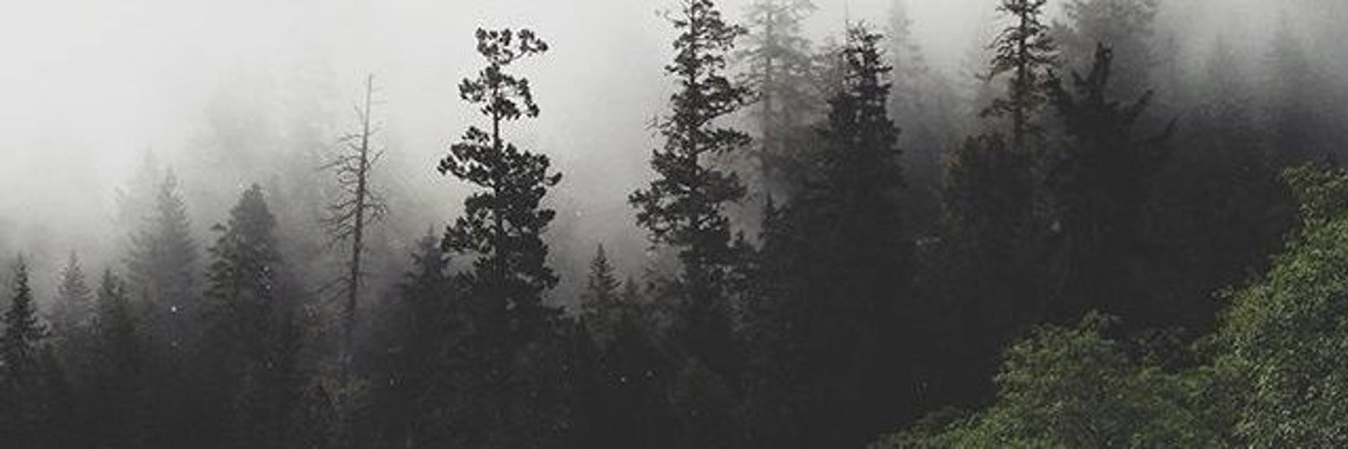 Manilator's profile banner image