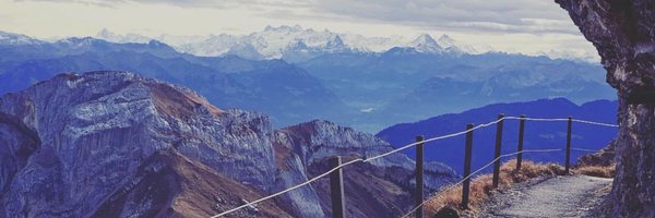 SelinaBerner Profile Banner