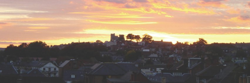 Lewes District Council banner