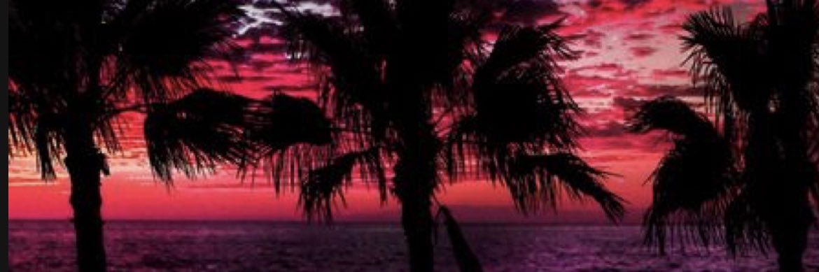 Dom_Flowerss's profile banner image