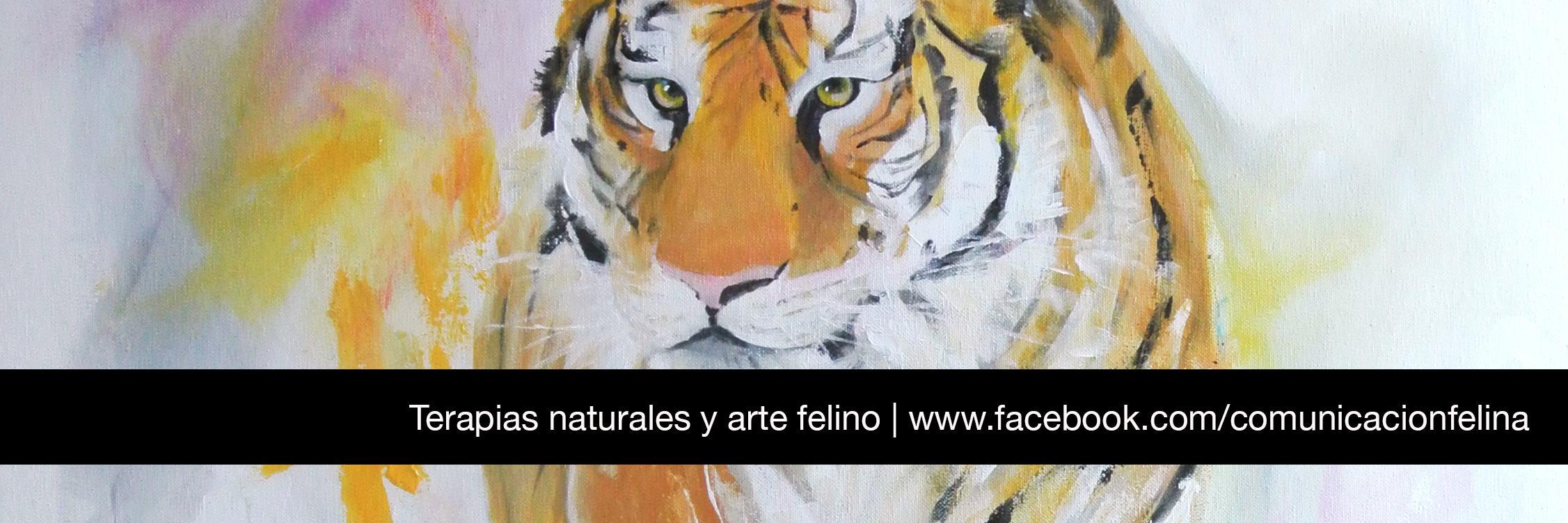 comunicafelina's profile banner image