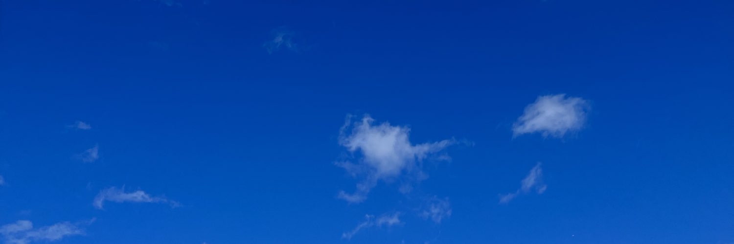 Arocha14's profile banner image