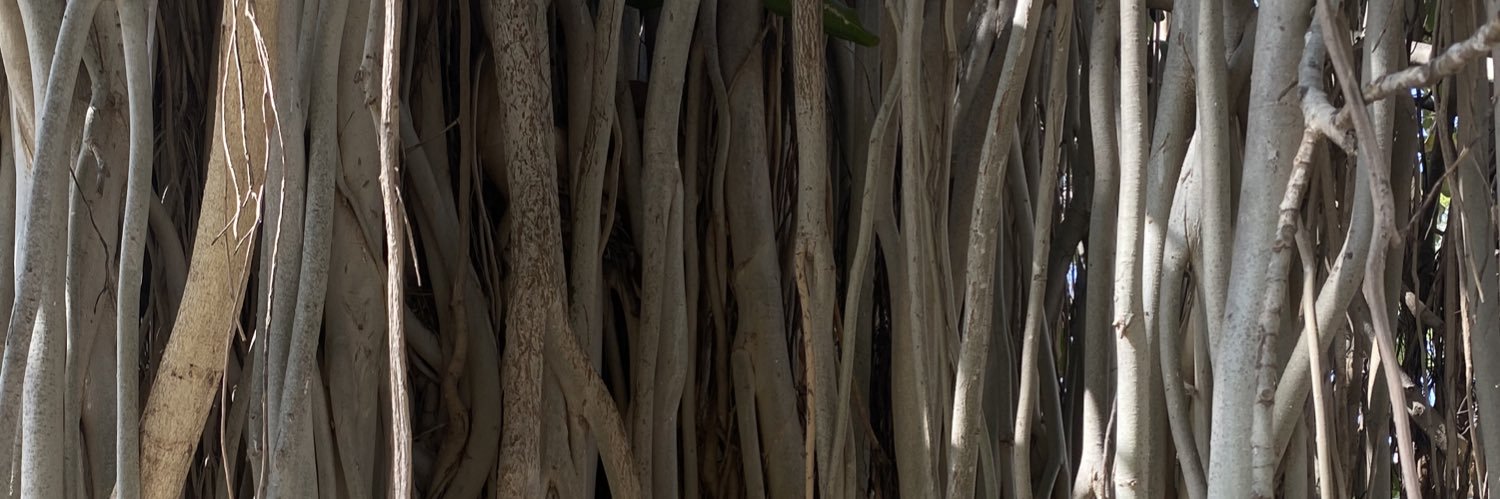 jnshvl's profile banner image