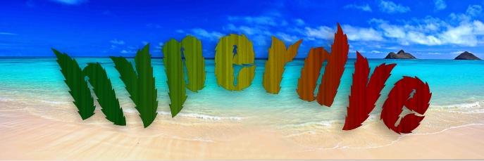 HyperdyeSk8boards banner