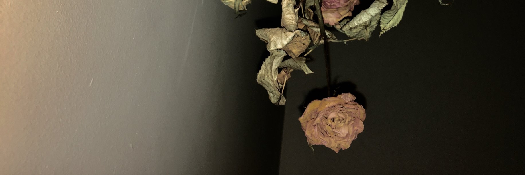 x̵͇̾x̷̼̔͑͜x̸͙̀ banner