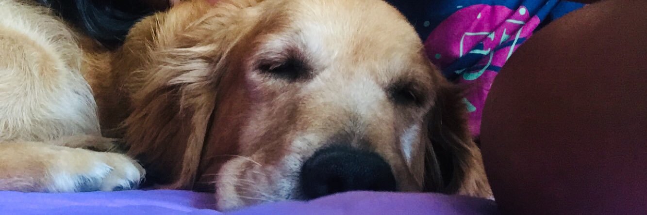 JulietaS26's profile banner image