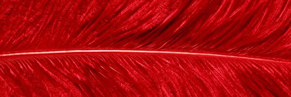 AristoPR Profile Banner