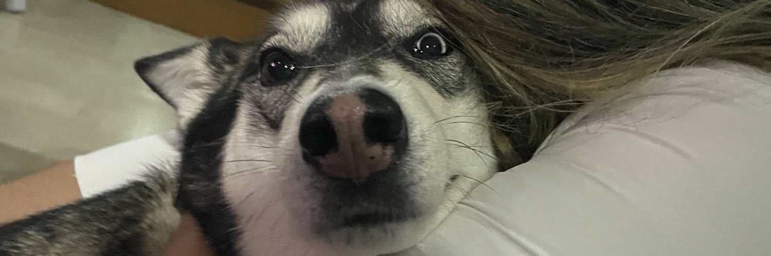 gisell_______'s profile banner image