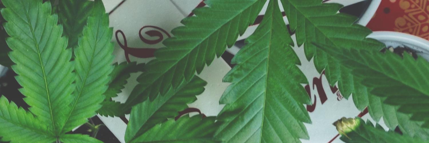 AnaheimPC's profile banner image