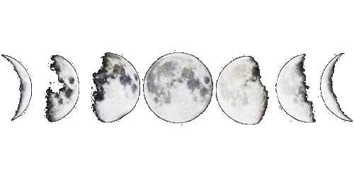 AlineP_TMICDS's profile banner image