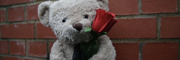 MiseryBear Profile Banner