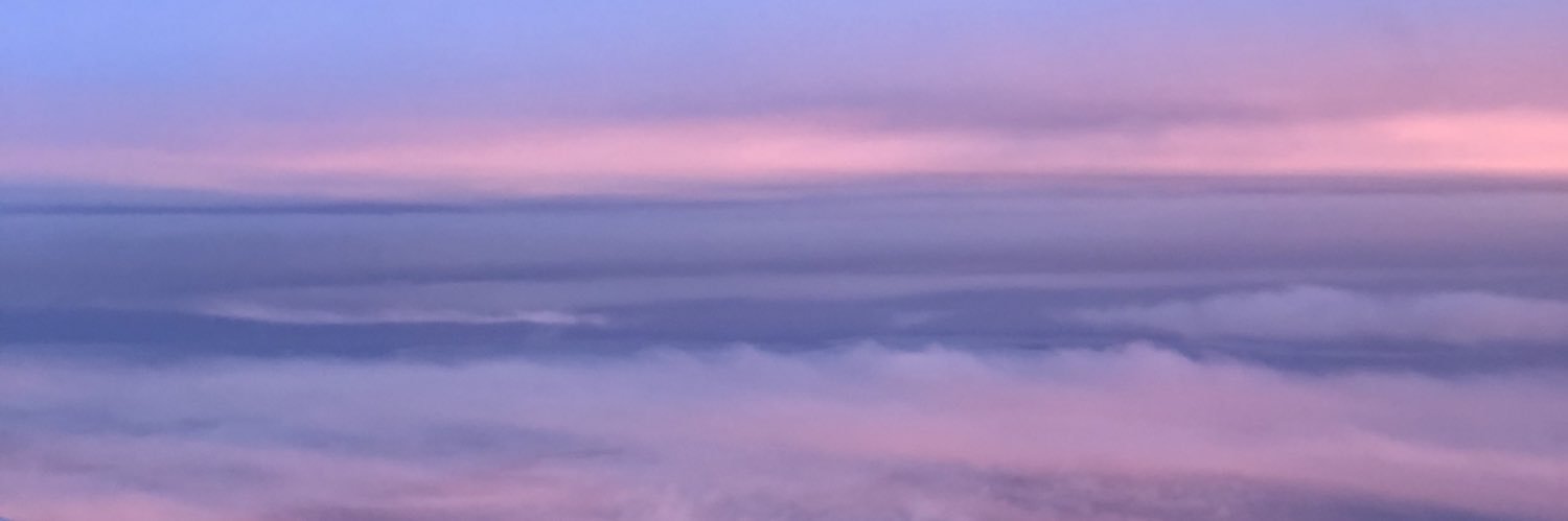 carpoolhoe's profile banner image