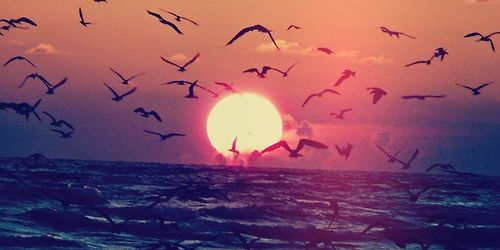 faiza4095's profile banner image