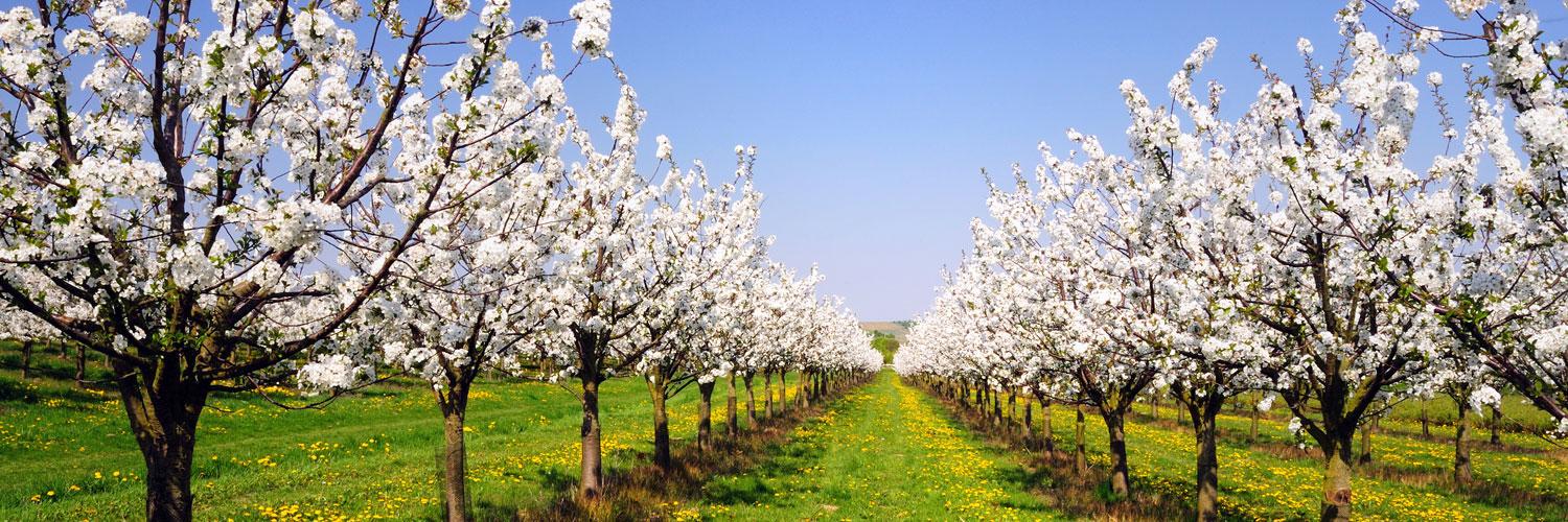 getsmallfarms's profile banner image