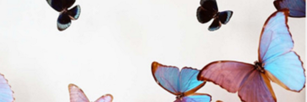 FlossieSaunders Profile Banner