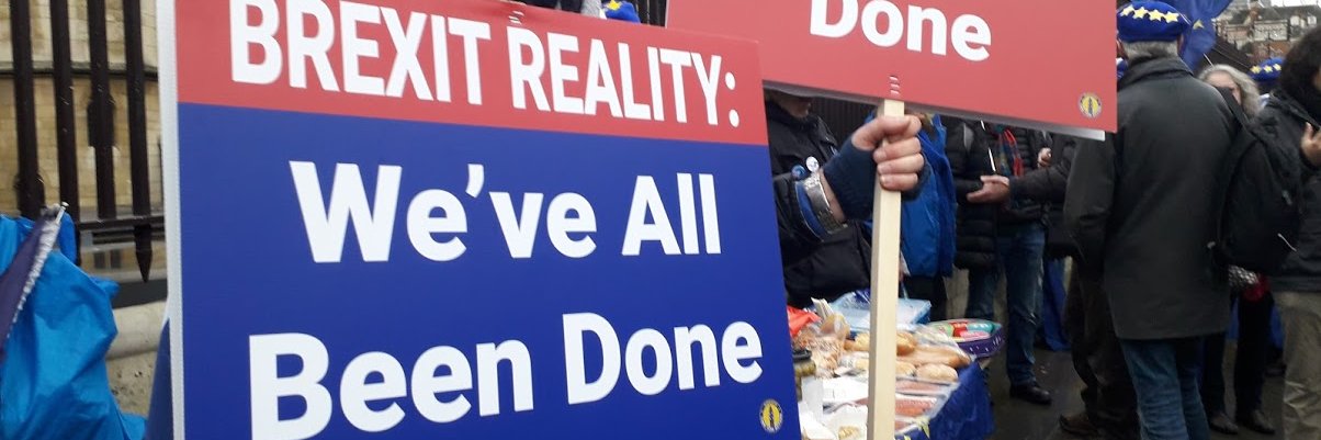 Caroline T #FBPE#FBPA#MakeVotesMatter#Rejoin EU banner