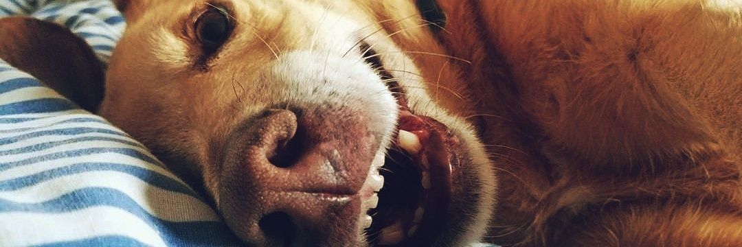 itscarlotaa's profile banner image