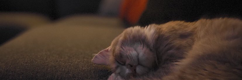 MAKZaid's profile banner image