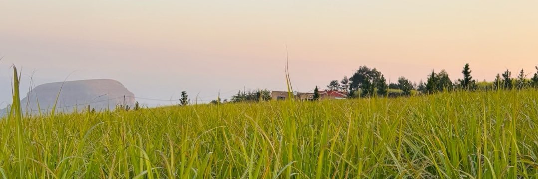 mathobelaagri's profile banner image