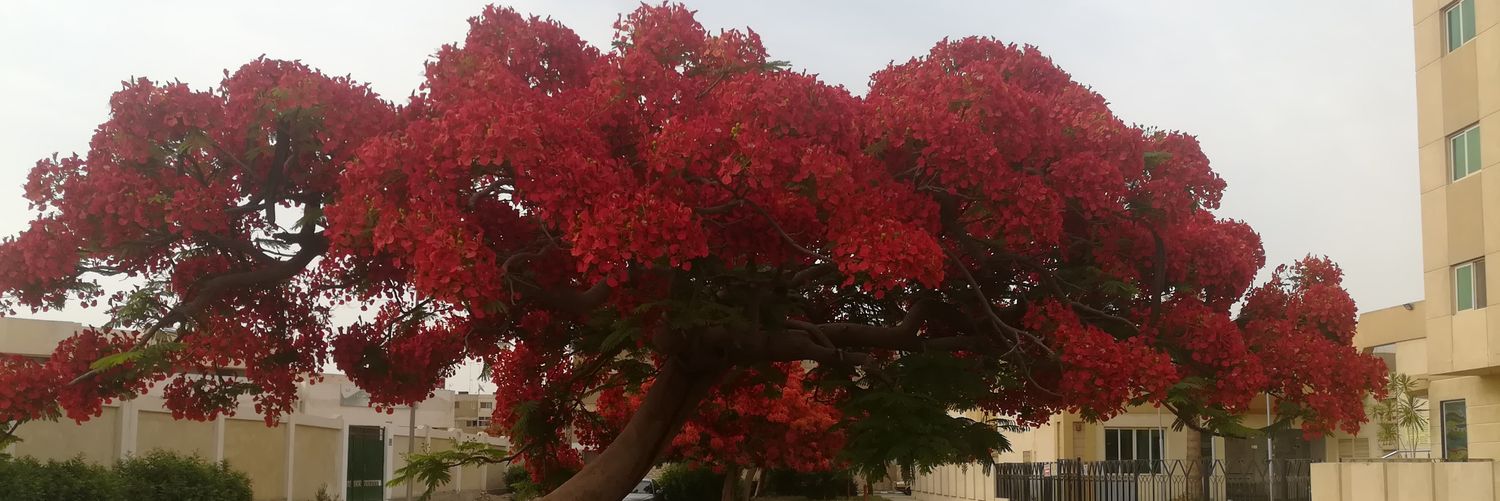 asmabendary95's profile banner image