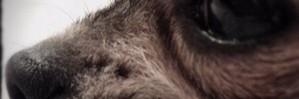 juliewinch Profile Banner