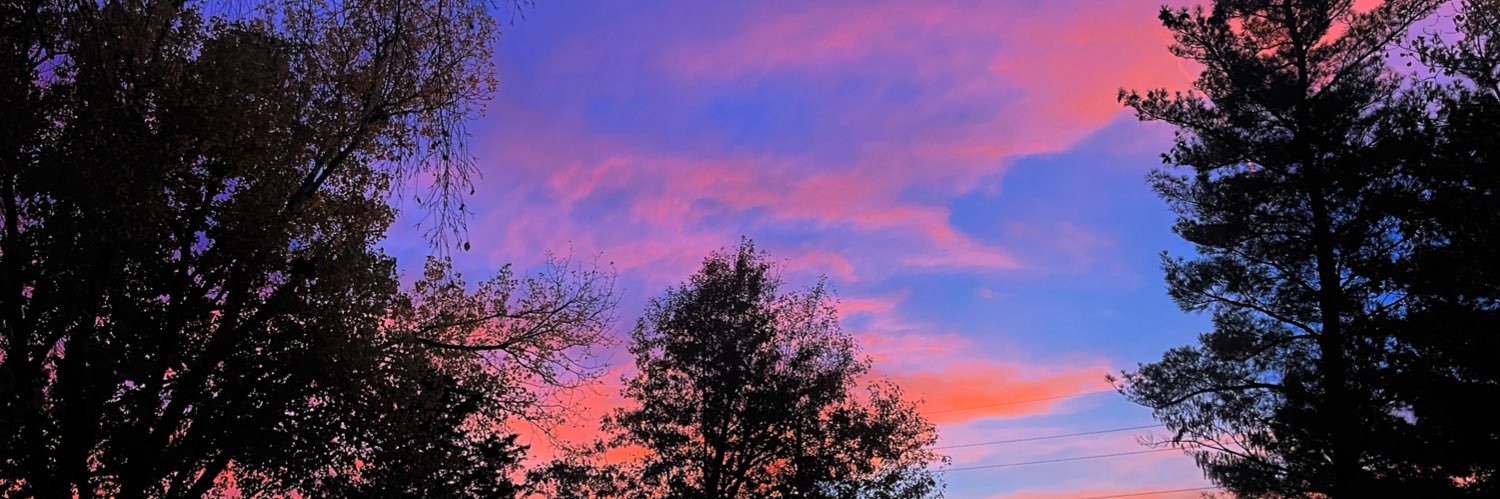 PresleyKatee's profile banner image