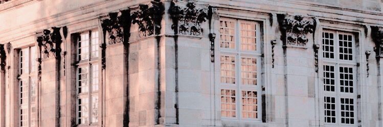 ester ✿ banner