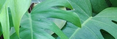 SISTEMA150's profile banner image