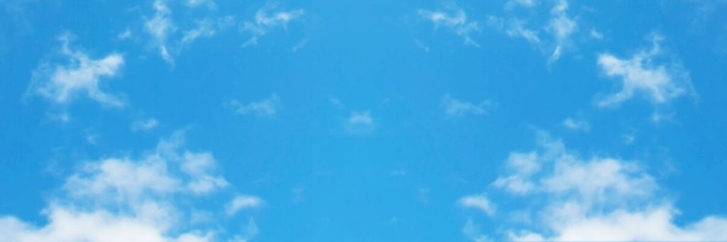 lilredskystudio's profile banner image