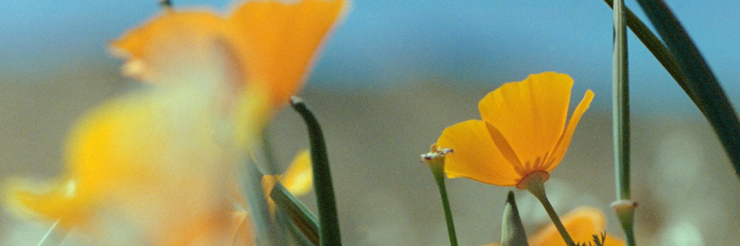 fredericrenken's profile banner image
