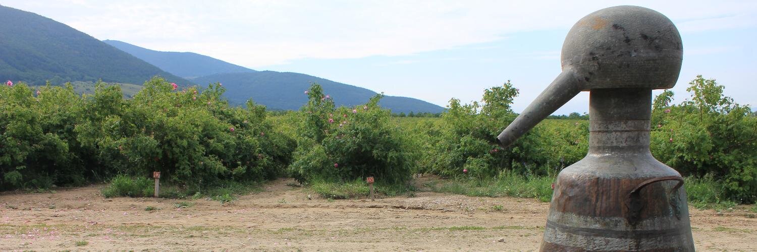 refletnature's profile banner image