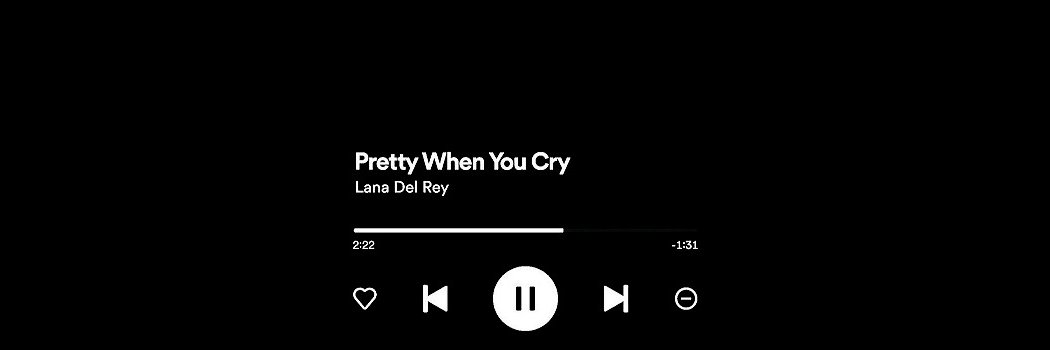 ‍ ‍ ‍ ‍ lau banner