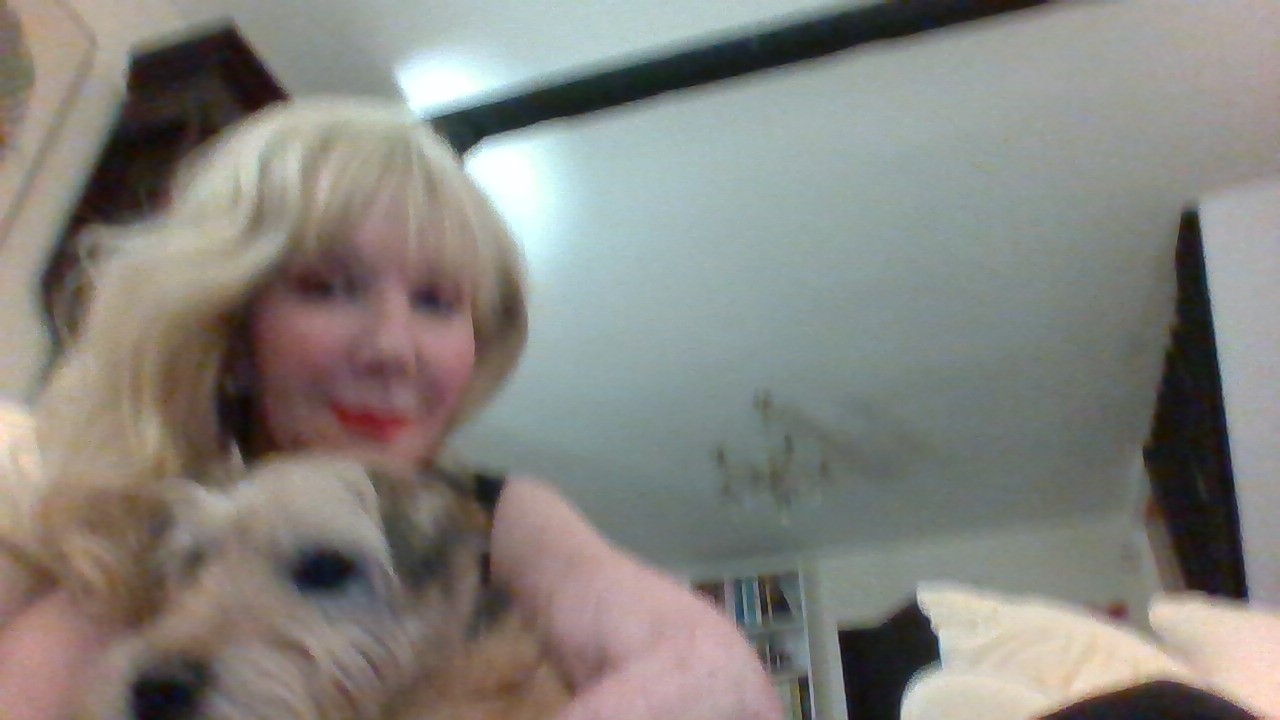 Elle from the Shires banner