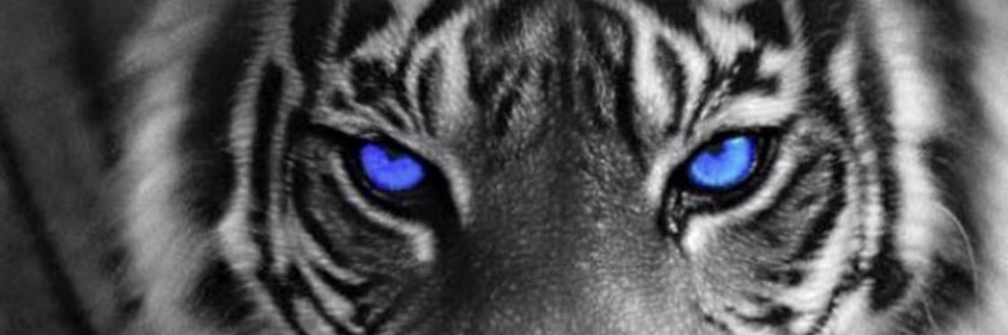 wyd_JT's profile banner image