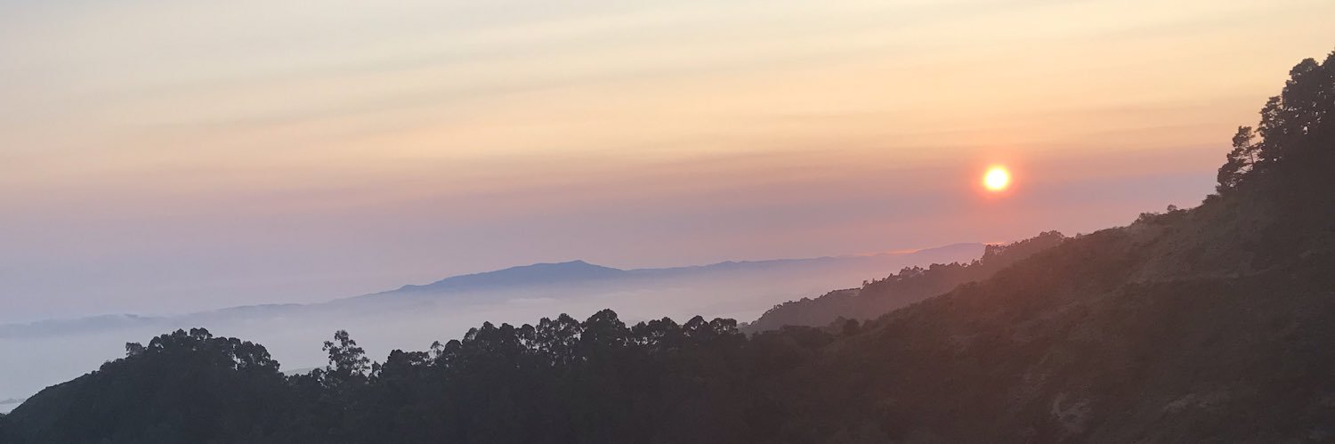 firstteamnocap's profile banner image