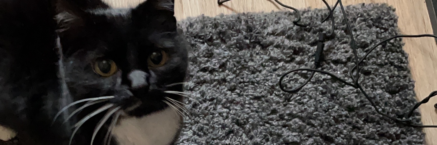 Kaefersaft's profile banner image