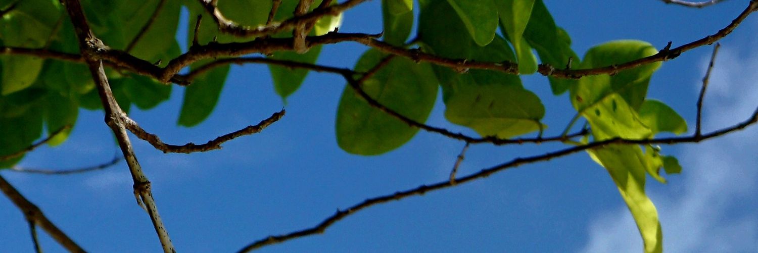 cischristine's profile banner image