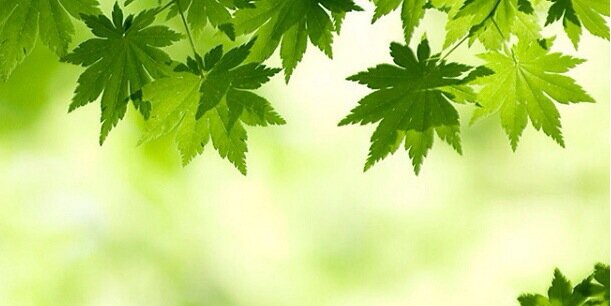 jkt_sunshine's profile banner image