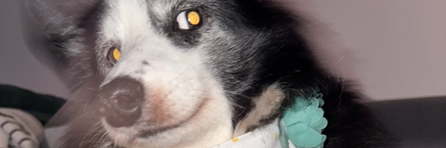 bucylurke's profile banner image