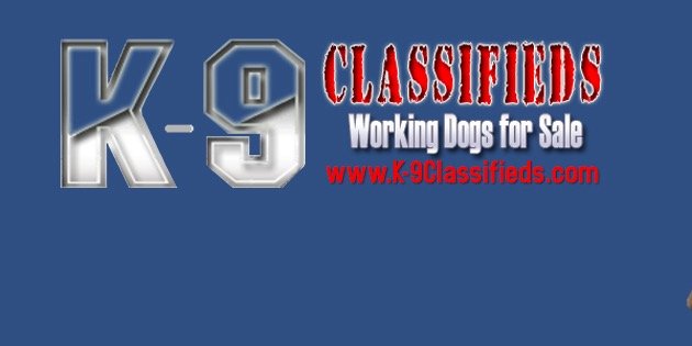 K9Classifieds's profile banner image
