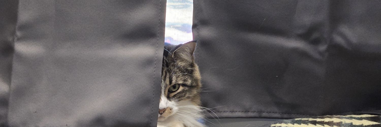 Danny Mitchell banner