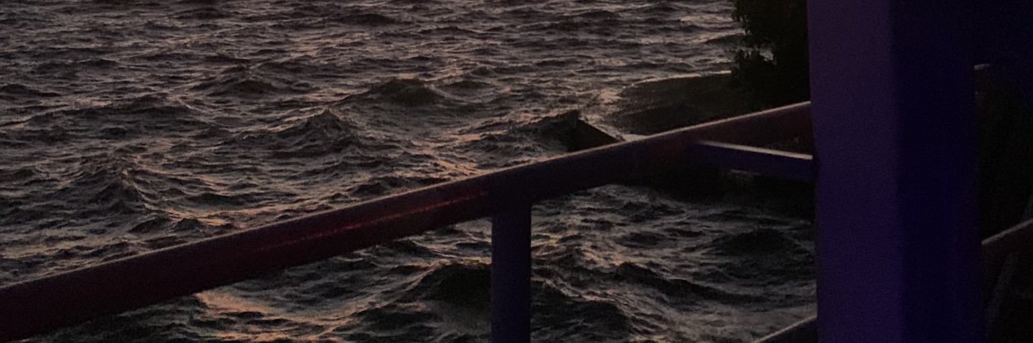 chatrose_'s profile banner image