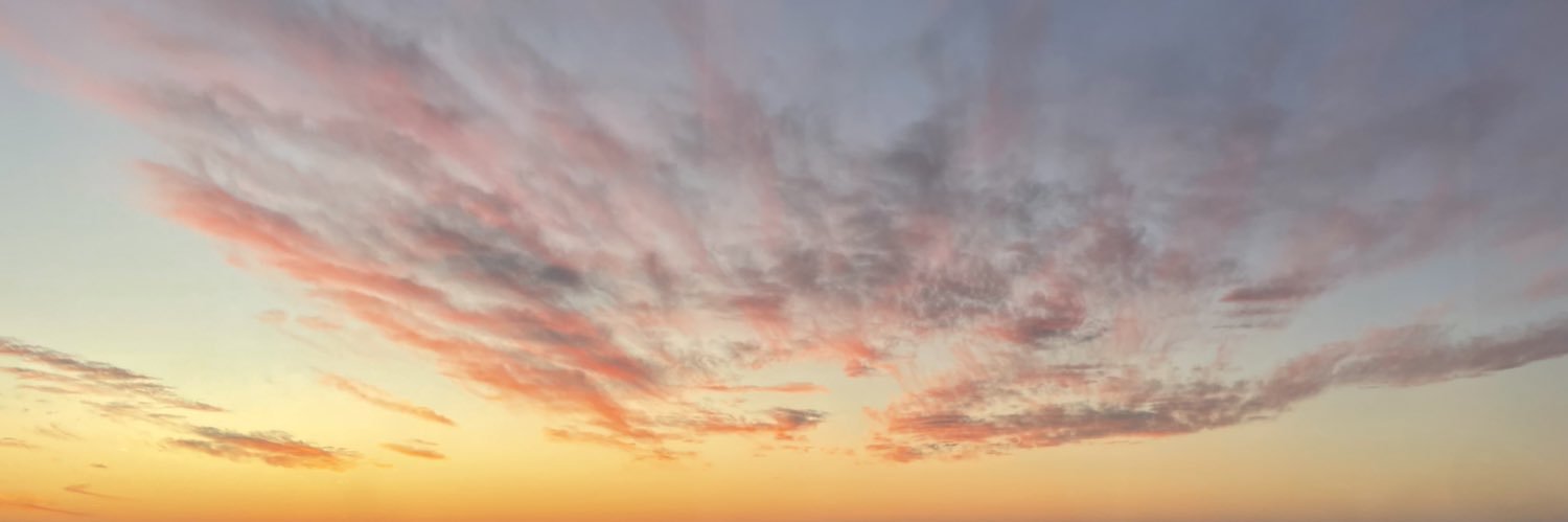 DeliZutto's profile banner image
