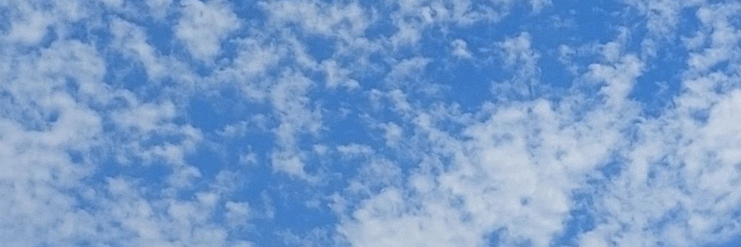 nilayin's profile banner image