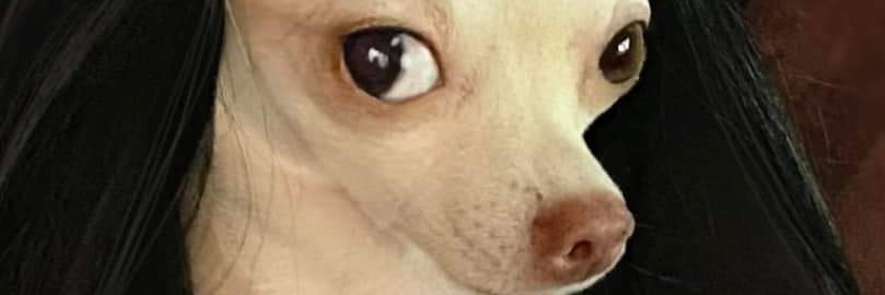 WKEverdeen's profile banner image