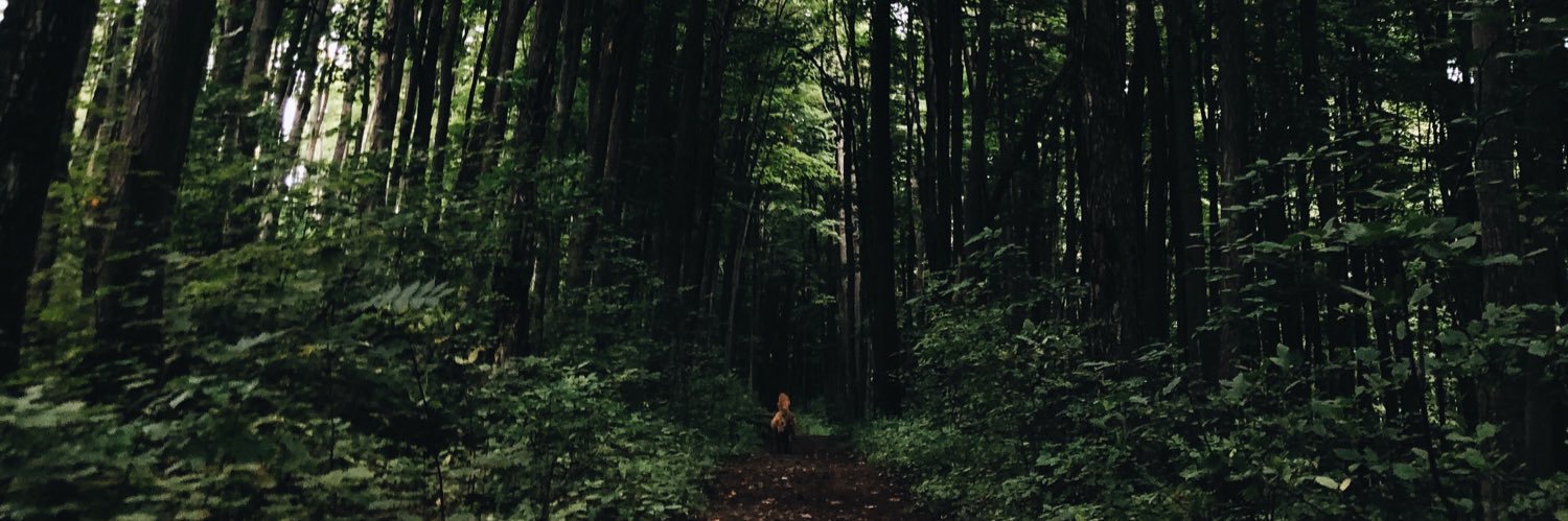 awk0_hannah's profile banner image